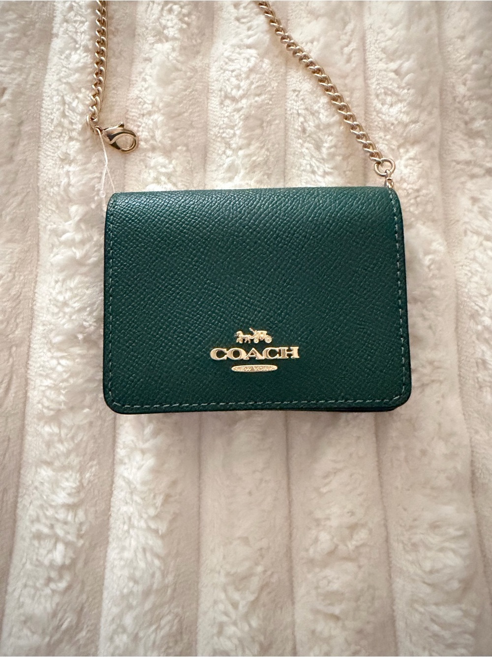 COACH Green Saffiano Leather Chain Crossbody with Gold Hardware